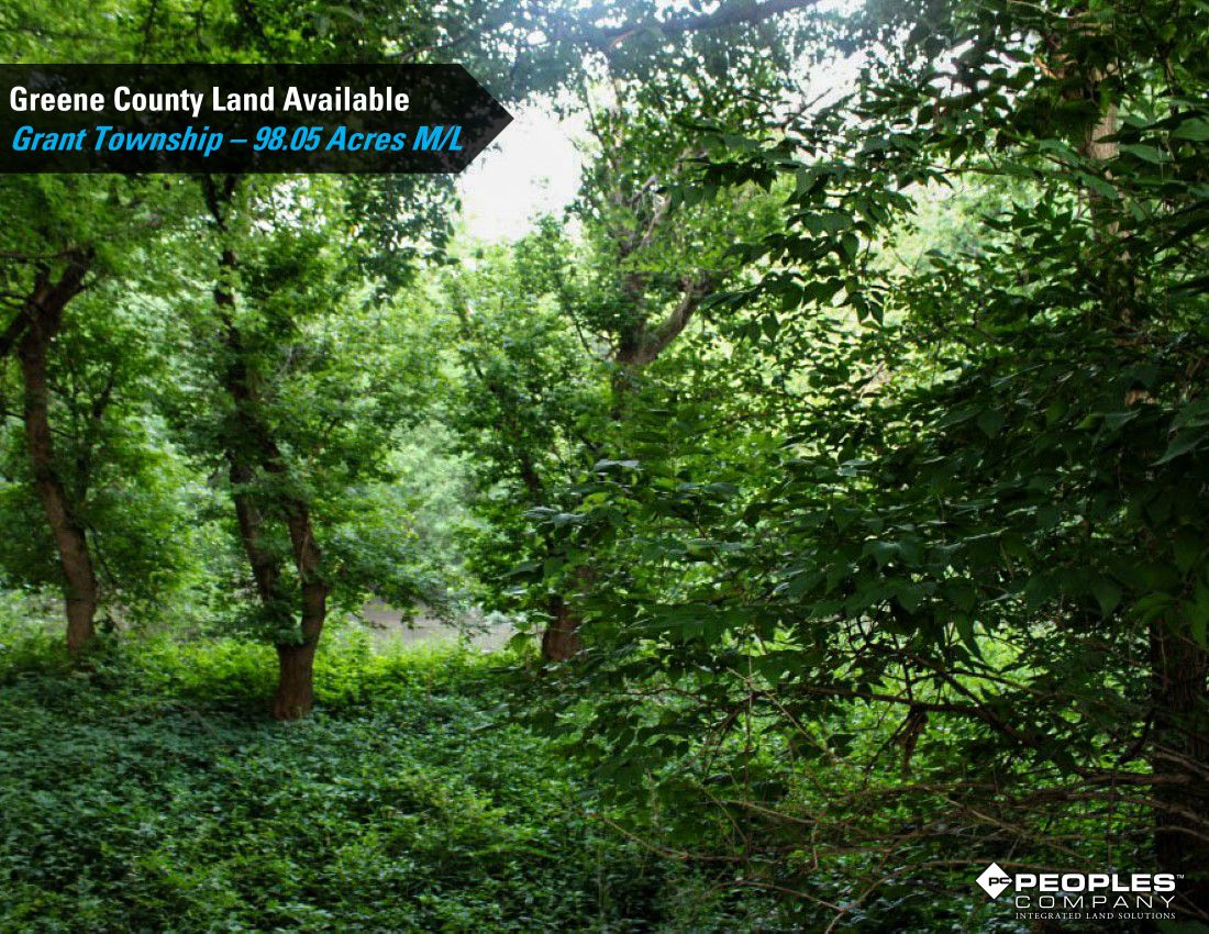 Listing Photo: Greene-County-Iowa-Recreational-Land-Available-98-Acres-19559 (29)